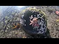 Bar Harbor Sand Bar