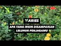 Download Lagu ♈️ARIES, ADA PETUNJUK/PESAN/SARAN APA DARI LELUHUR PENJAGAMU DI SEPTEMBER’25 #pesanleluhur #aries