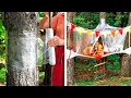 Download Lagu Kiat Mengasuh Anak Terbaik: Bangun Tenda Hutan dan Lainnya! 🌲🏕️