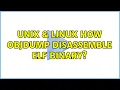 Unix Linux How objdump disassemble elf binary