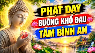 ĐÊM NGHE LỜI PHẬT DẠY MỌI KHỔ ĐAU ĐỀU TỪ CHẤP NIỆM – Buông Được Một Điều, Nhẹ Nhàng Cả Một Đời