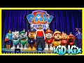 Download Lagu PAW PATROL LIVE Race to the Rescue 🌞 Favorite Song \u0026 Dance for kids