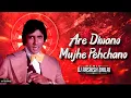 Lagu ARE DIWANO MUJHE PEHCHANO || DJ AASHISH BHILAI || TAPORI MIX | HINDI DJ SONG PARTY AMITABH BACHCHAN 