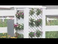 Belmont Correctional Institution Garden Tended by Inmates