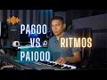 PA600 vs PA1000 | COMPARACION DE RITMOS  | Gama y sus teclados