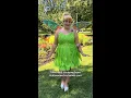 Plus Size Tinker Bell Costume