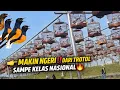 Lagu GILA… MAKIN NGERI‼️TROTOL SAMPE MURAI KELAS NASIONAL ADA SEMUA DI KIOS INI 🔥