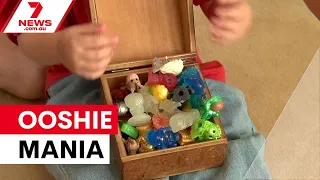 Ooshie mania sweeps Australia as schools crack down 7NEWS