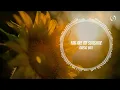 [1hour loop] [Music box] You Are My Sunshine