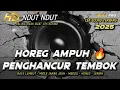 Lagu DJ HOREG FULL BASS AMPUH PENGH4NCUR TEMBOK | DJ CEK SOUND BASS JERNIH TERBARU 2025 (MHLS PRO)