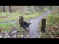 With Charlie at Lightmoor Little Dawley Woods Pools Telford 27 11 19