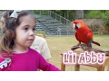 LiL Abby At the Zoo - LiLAbby