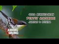 Download Lagu CENDET MATAHARI
