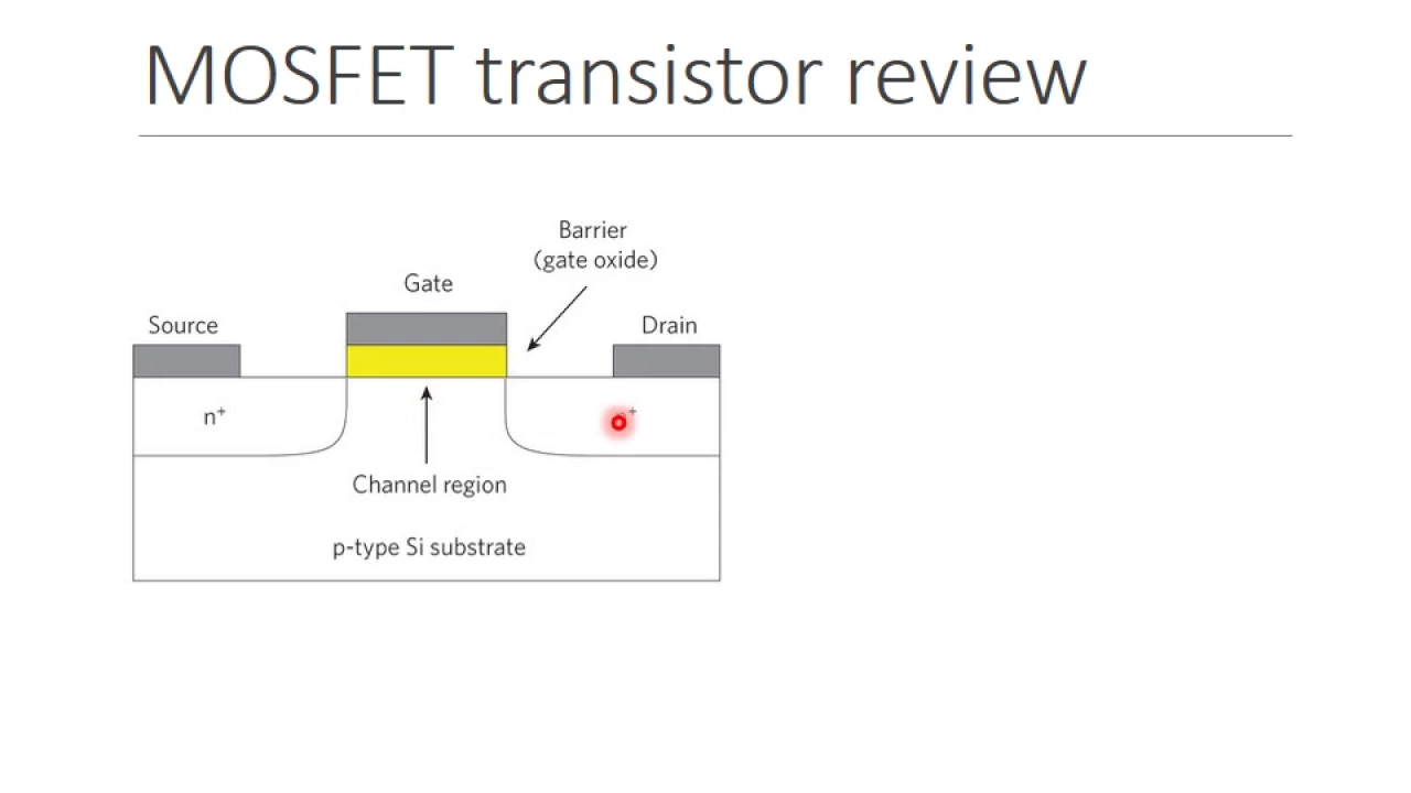 Graphene Transistors