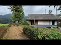 Download Lagu Hidup di Desa, Menginap di Pondok Pinggir Sungai, Melihat Keindahan Alam Pedesaan