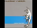 Nuclear Rabbit - I Sold My Co-Pilot
