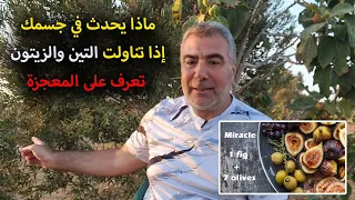 ماذا يحدث في جسمك إذا تناولت التين والزيتون تعرف على المعجزة دندنها