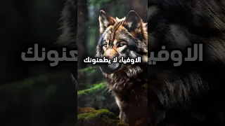 نحن لا نقطع صلة الرحم 