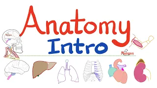 Comprehensive Anatomy and Embryology Course