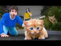 Download Lagu I RESCUED an Abandoned Kitten from a COYOTE ATTACK!