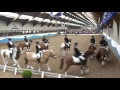 Download Lagu NK carrousel 2016 - Capelse Manege Pony's