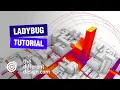 Grasshopper Ladybug Tutorial