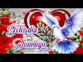 HAPPY SUNDAY A nice message for you GOOD MORNING SUNDAY God bless you