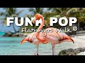 Lagu Flamingos Walk | Funk Pop Non Copyright Music | Feeling Schwifty.