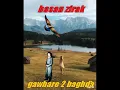Download Lagu hasan zirak  gawhare 2 baghdad