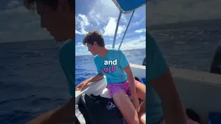 Can Sharks Smell A Drop Of Blood 