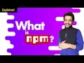 How developers develop web apps faster and efficiently with NPM What is NPM Hindi