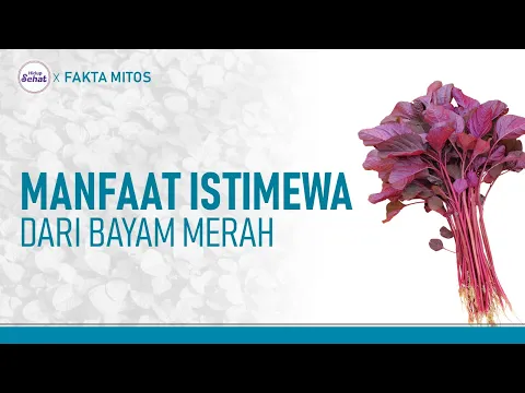 Segudang Manfaat Bayam Merah, Lebih Sehat dari Bayam Biasa!