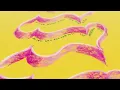 Bruno Major, Adrián Berenguer - Remember To Dance (Little Things) (Lyric Video)