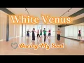 White Venus | Baring My Soul | Line Dance | 