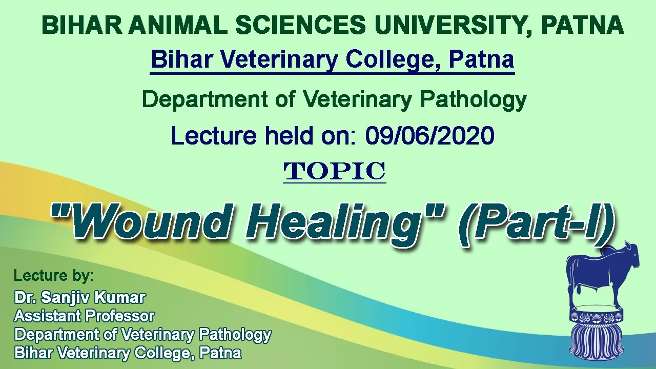 "Wound Healing" (Part-I) by by Dr. Sanjiv Kumar, Dept. of Vet. Pathology, BVC