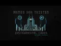 Rammstein - Armee der Tristen (instrumental cover) [2022 Stadium Tour Version]