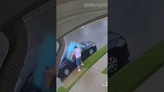 Thief On Camera Credit Https Vm Tiktok Com ZNdTM4M2F 