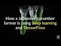 How a cucumber farmer is using Deep Learning and TensorFlow