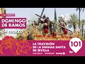EN DIRECTO Domingo de Ramos Primera Parte Semana Santa Sevilla 24 marzo 2024