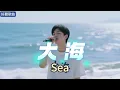 Lyra·雲音 老歌新唱 超好聽 | 《大海》| 原唱:張雨生 | 如果大海能喚回曾經的愛，就讓我用一生等待 | Beautiful | "Sea" #歌曲  #翻唱  #song