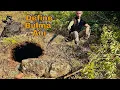 Download Lagu Kabartma Daire Define İşaretinin Hazinesi...