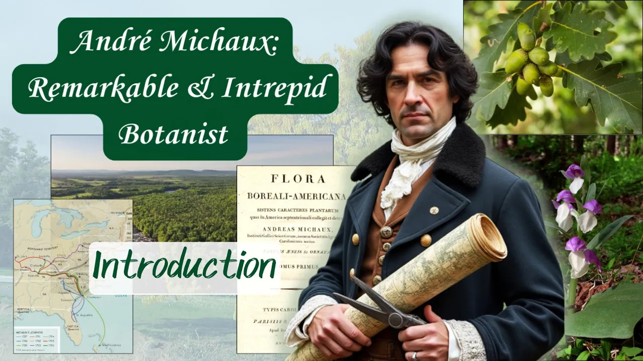 André Michaux: Introduction