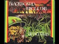 Lee Perry and The Upsetters - Black Board Jungle Dub - 12 - Iration Dub