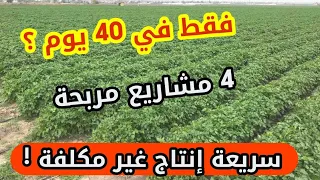   مشاريع الزراعية مربحة سريعة إنتاج في أقل من    في مساحة صغيرة فقط دندنها