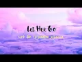 Download Lagu Passenger - Let Her Go Lirik dan terjemahan Indonesia ||Musik Laliryk