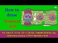 How to draw monocot anatomy