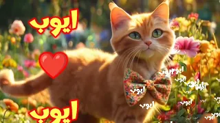 ايوب ايوب الزين    اغنية باسم ايوب  دندنها