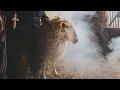 Download Lagu Krankšvester - Slava (Official Video) 4K