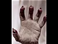 Download Lagu Scott turns into a werewolf. | teen wolf | #shorts