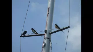 Sailing Greatcircle – Stromboli to Sicily (ep.40)